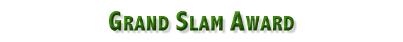 The Grand Slam Award